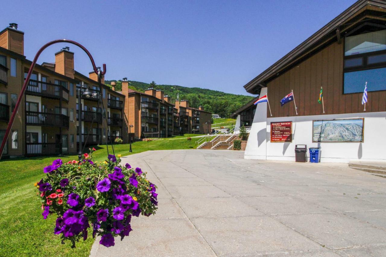 Okemo Mountain Condo Ладлоу Экстерьер фото